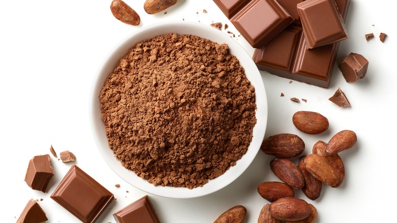 Bowl of cocoa with pieces of chocolate
