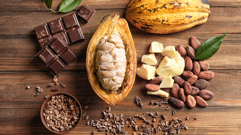 Cacao pod with cocoa nibs and chocolate