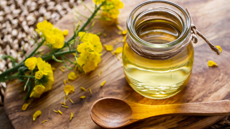 Canola oil with rapeseed plant
