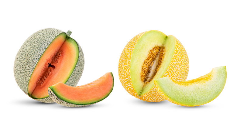 a few muskmelon varieties