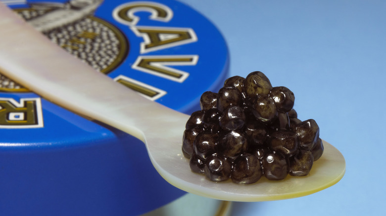 caviar on a mother of pearl spoon
