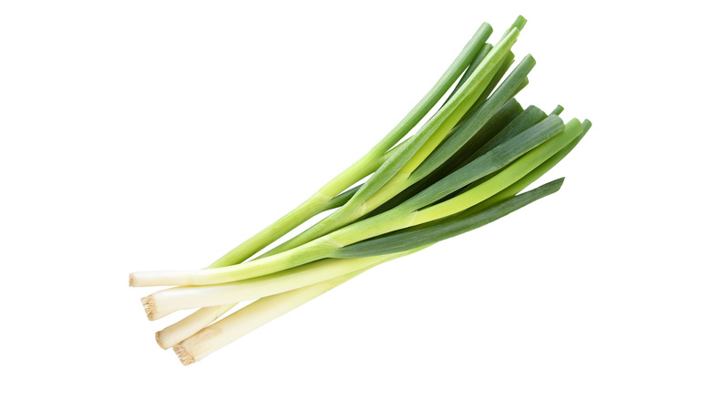 Bunch of fresh scallions