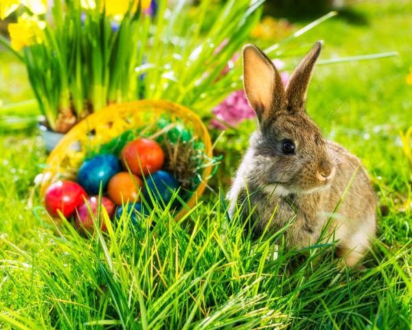 Easter 2014