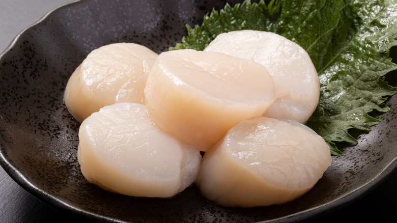 raw scallops on plate