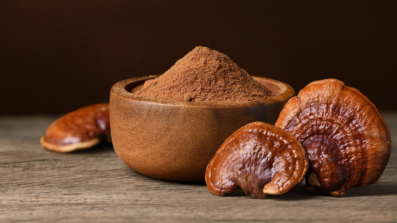 dried mushrooms and mushroom powder