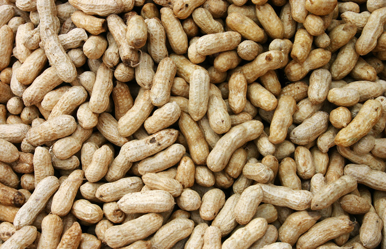 Working for Peanuts