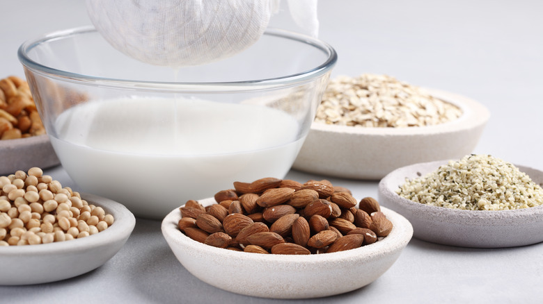 Non-dairy milk sources