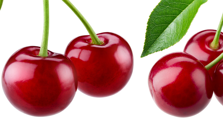 Close up of cherry bunches