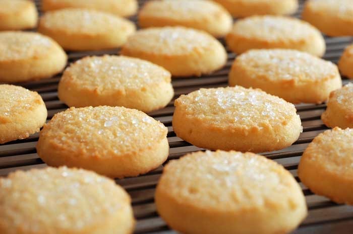 Sugar Cookie