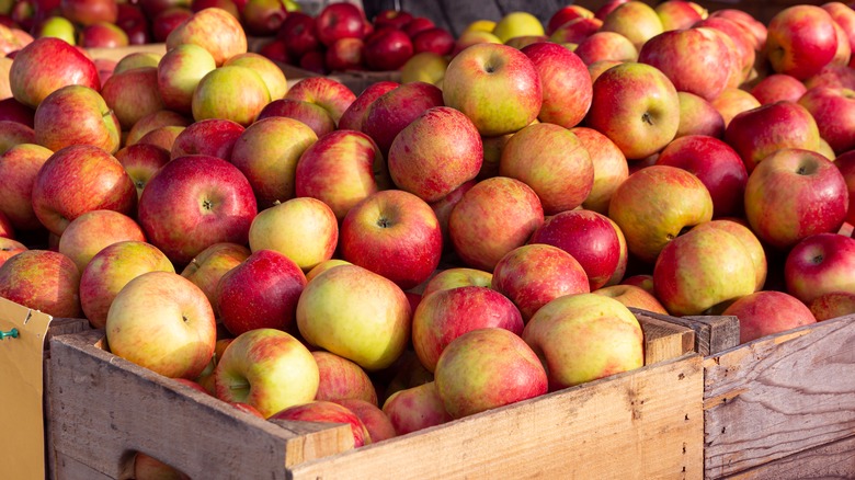 boxes of honeycrisp apples