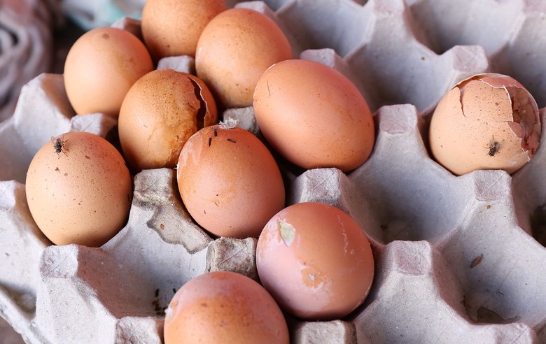Rotten Eggs