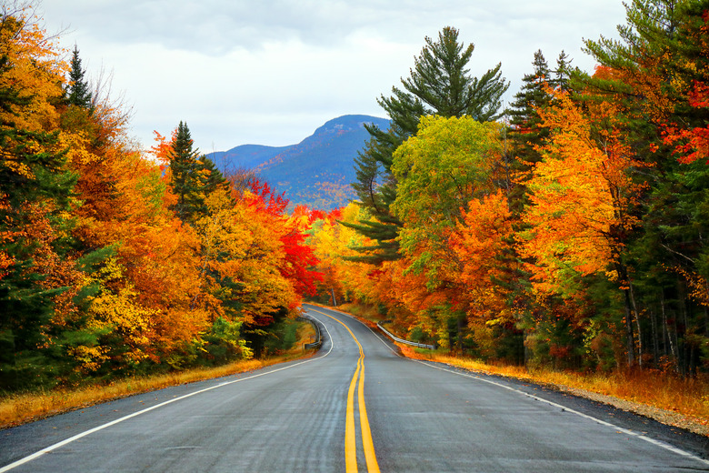 Why Fall is the best season