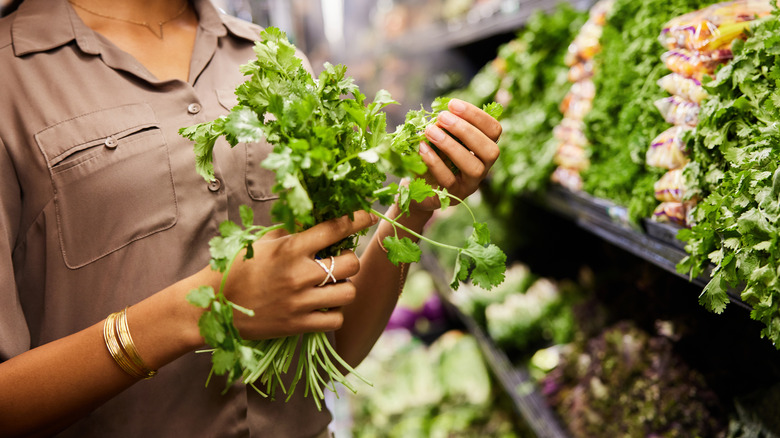 woman holding fresh herbs