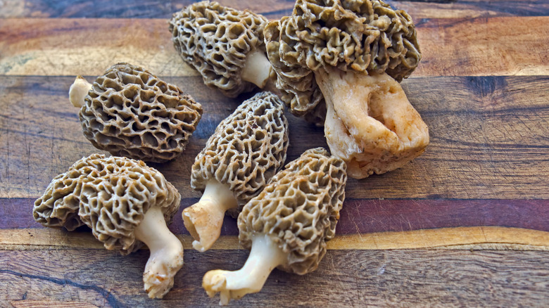Morel mushrooms on wood background