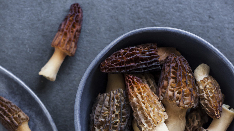 Morel mushrooms in a bowl