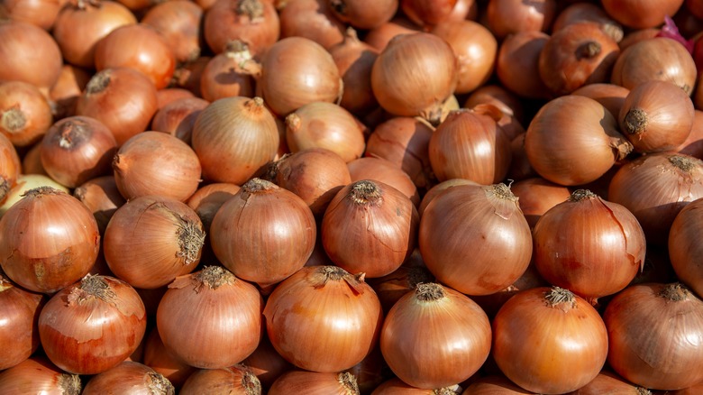 A bunch of onions