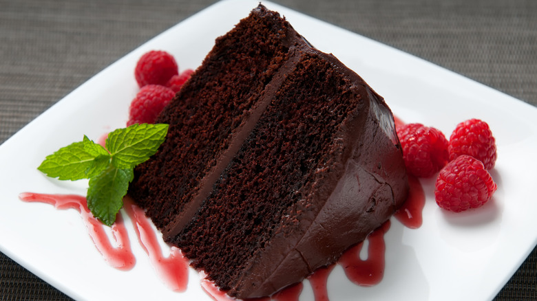 Chocolate cake on a plate with berries