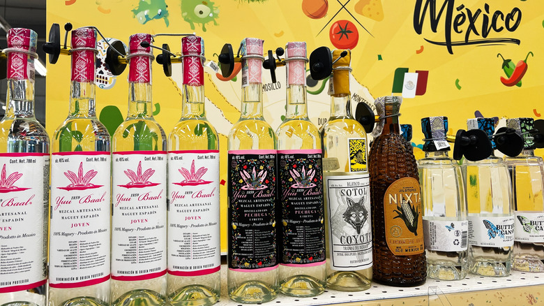 Mexican crafted spirits showcased on a shelf.