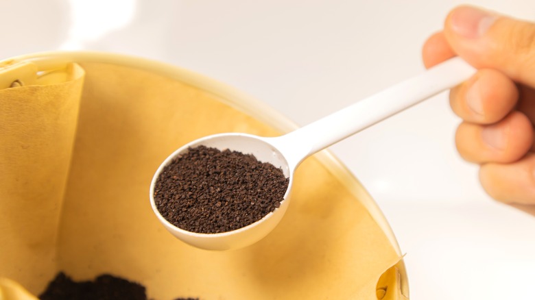 Person scooping coffee into filter basket