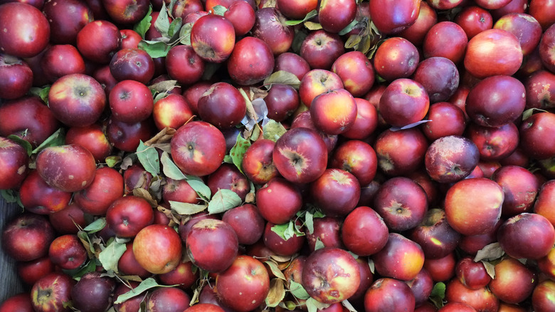 pile of dark red apples