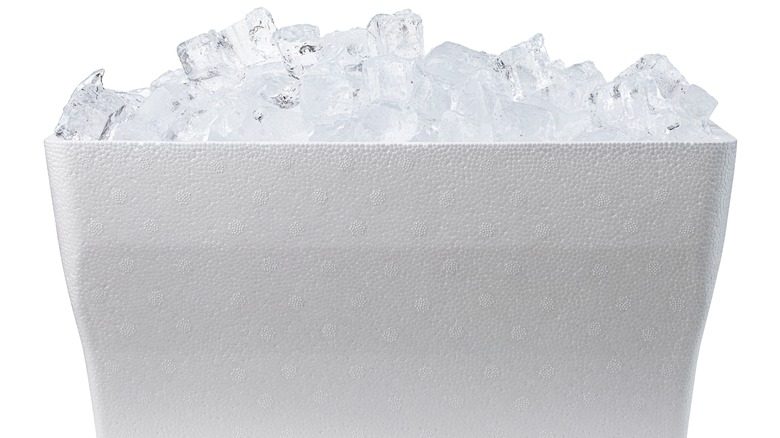 Ice in a styrofoam cooler