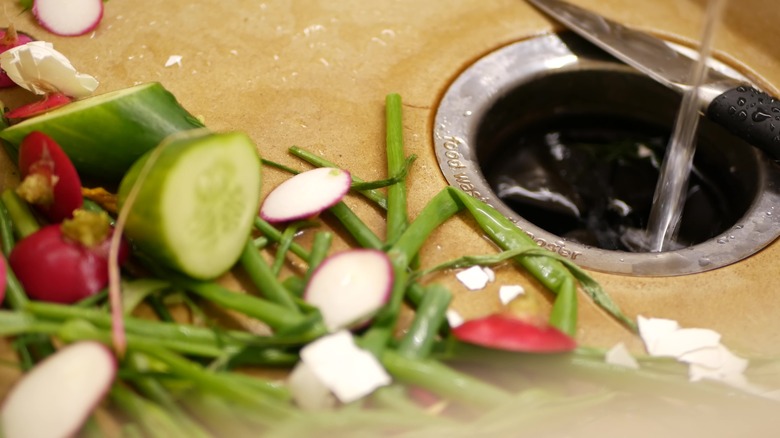 Food waste near a garbage disposal 