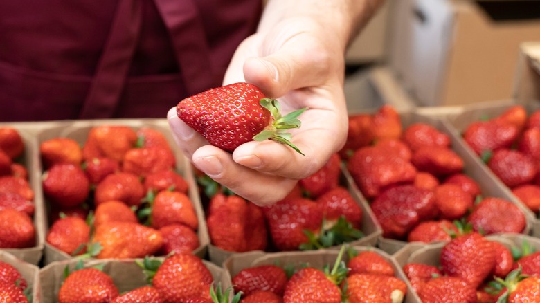 A man holds a strawberry