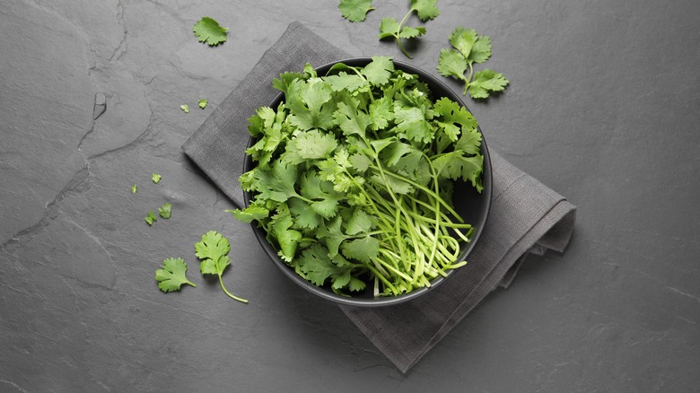 Fresh cilantro on slate table