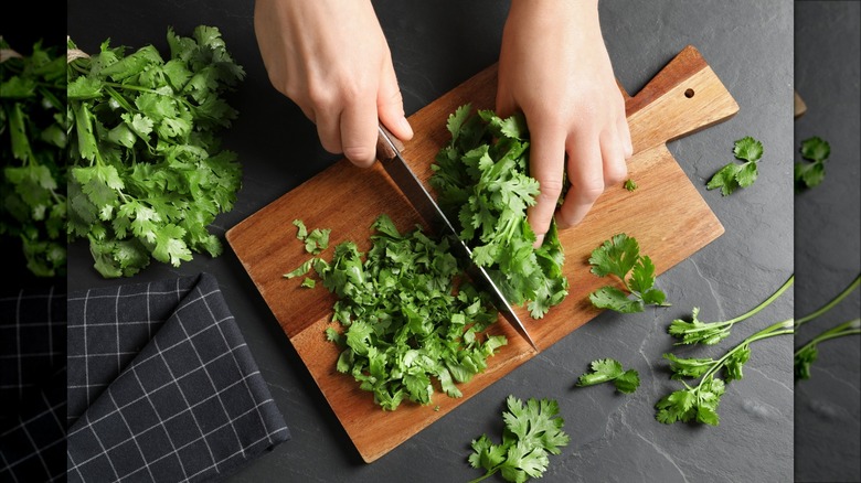 Fresh cilantro on wooden board
