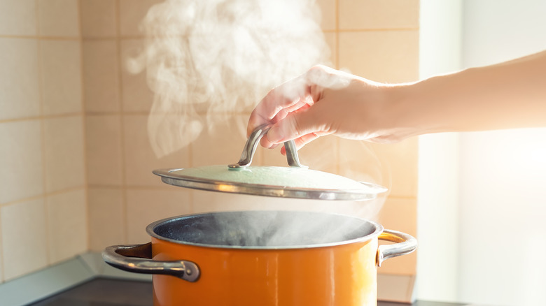 Steam escaping pot