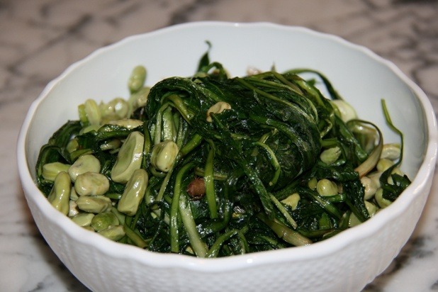 Wild dandelion greens