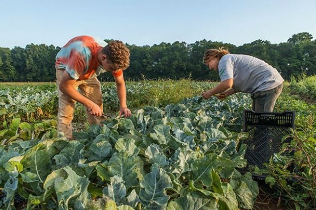 14. White Oak Pastures: Bluffton, Ga.