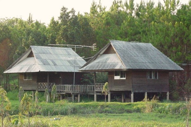 23. Khao Kho Talaypu Natural Farm Restaurant: Thung Chang District, Thailand