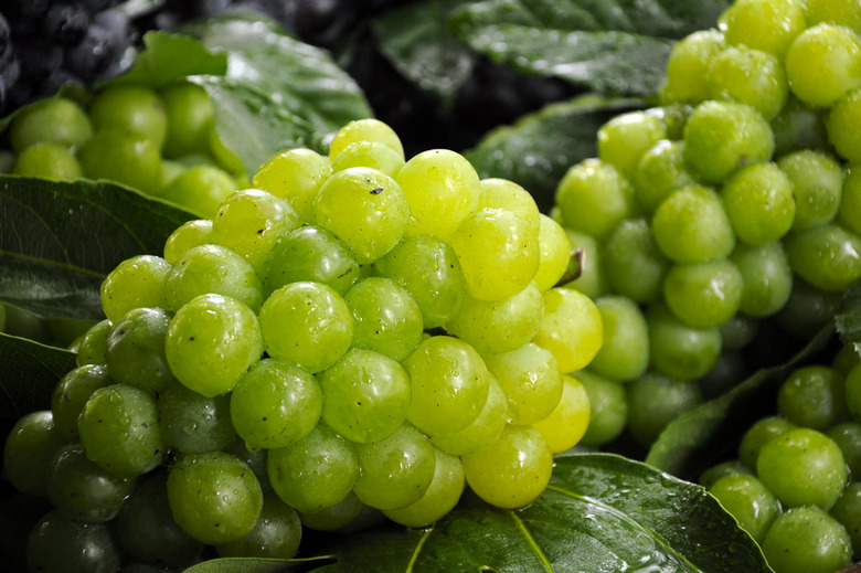 oldest wine