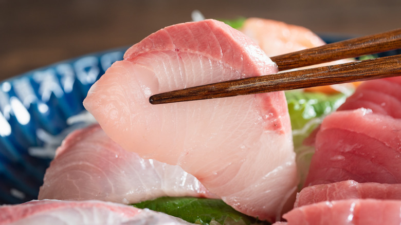 A piece of yellowtail sashimi, with light pink meat and a darker pink ridge on top, held with chopsticks