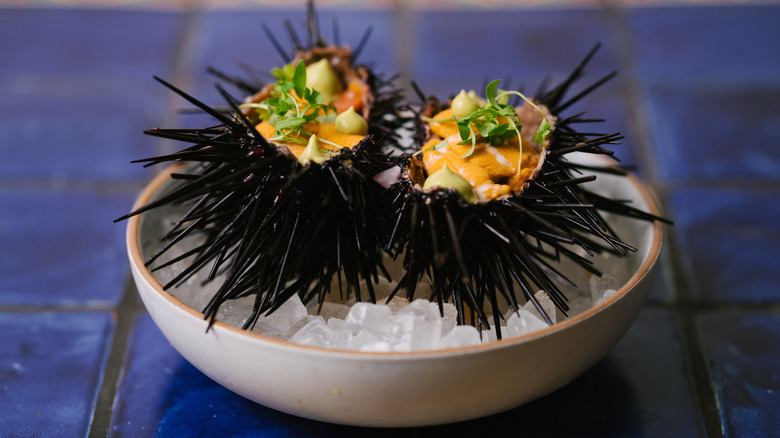Sea urchin dish at Holbox