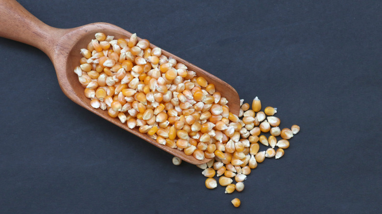 Wooden spoon full of popcorn kernels
