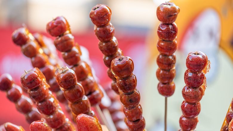 Tanghulu candied cherry tomatoes on skewer