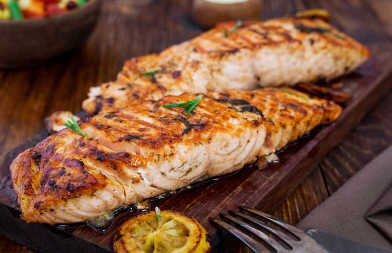 Salmon