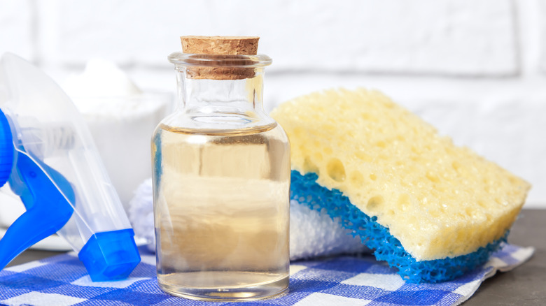 Glass jar of vinegar and sponge