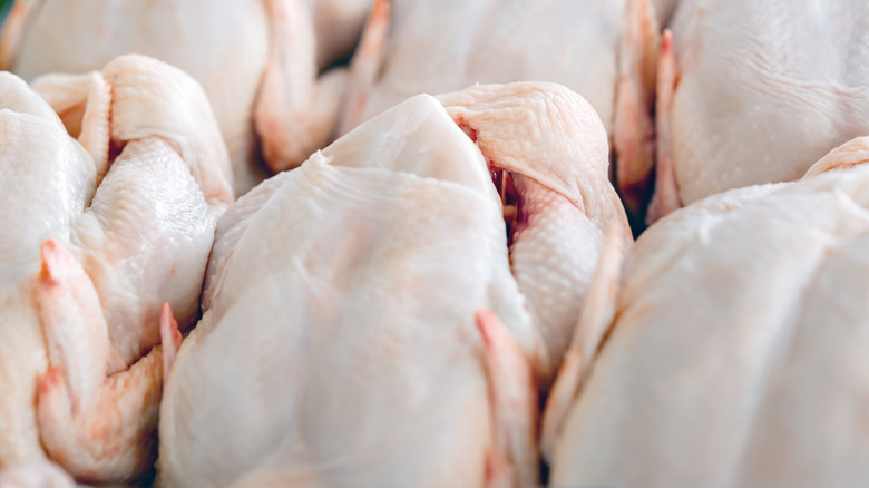 Chicken in a factory 