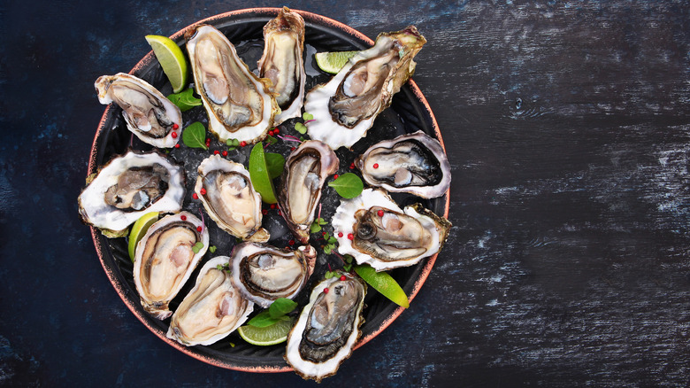 Shucked oysters on a plate
