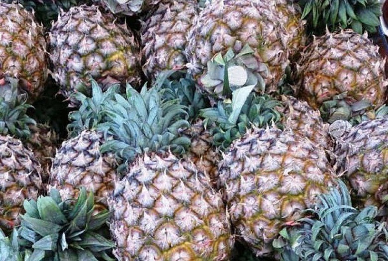 Pineapple