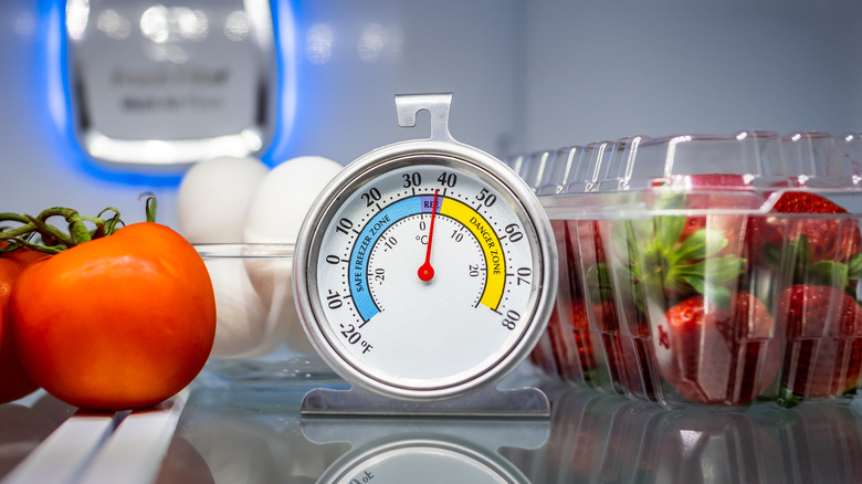 fridge with thermometer inside