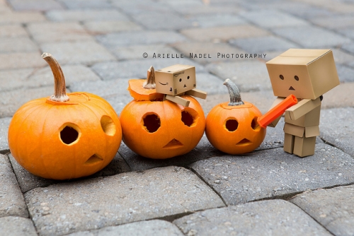 Cute Pumpkin Décor Cute Pumpkin Décor