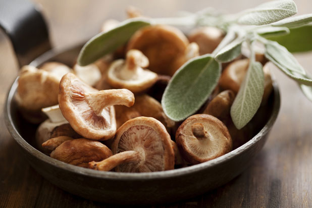 mushrooms