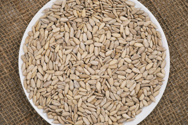 sunflowerseeds