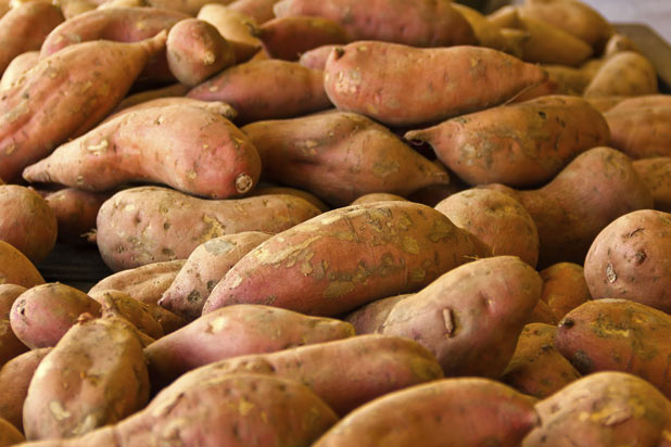 Sweet potatoes