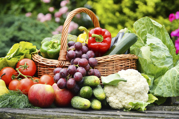 diet myth